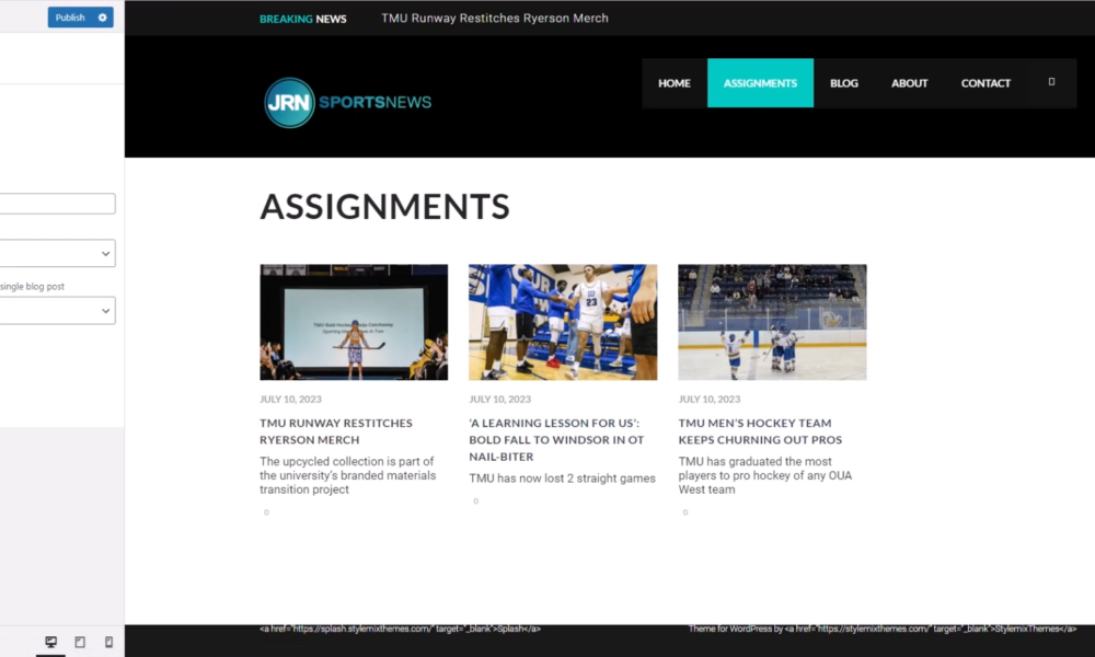 Screenshot of a blog customization interface showing 'Assignments' page with three news articles.