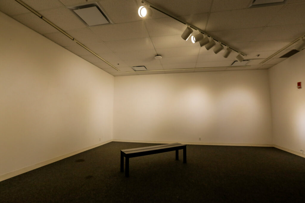 An empty art gallery featuring white walls, dark carpet, track lighting, and a single dark bench in the center.